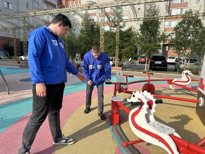 Мониторинг детских площадок